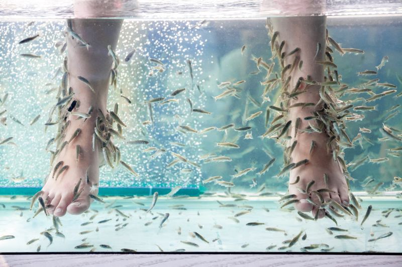 Fish spa